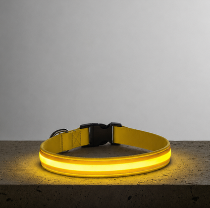 LED Night Collar - Yellow