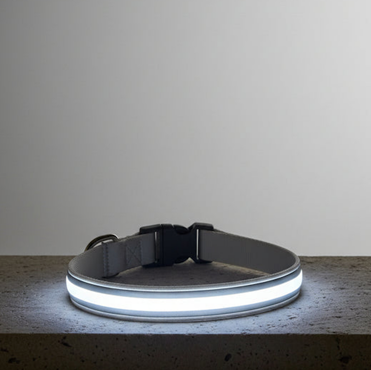 LED Night Collar - White