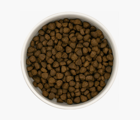 Angus Beef