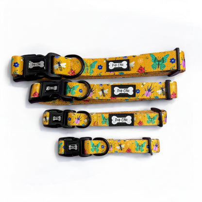 Summer Buzzin’ Dog Collar