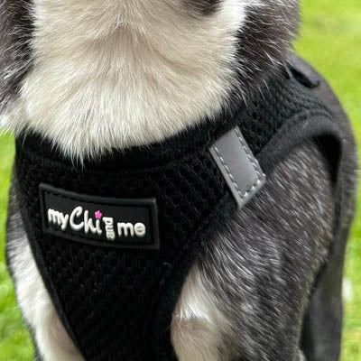 Tiny Trails Step In Air Mesh Puppy and Small Dog Harness Black