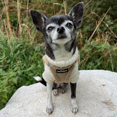 Tiny Trails Step In Soft Touch Suede Effect Faux Fur Lined Puppy and Small Dog Harness Caramel