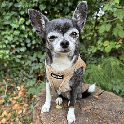 Tiny Trails Step In Soft Touch Suede Effect Faux Fur Lined Puppy and Small Dog Harness Caramel