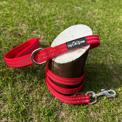 Tiny Trails Step In Air Mesh Puppy and Small Dog Harness Red