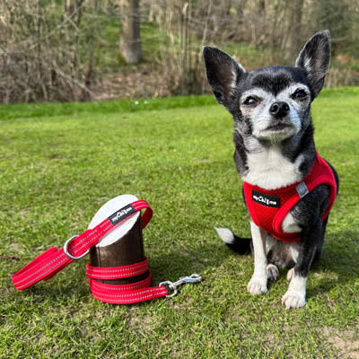 Tiny Trails Step In Air Mesh Puppy and Small Dog Harness Red