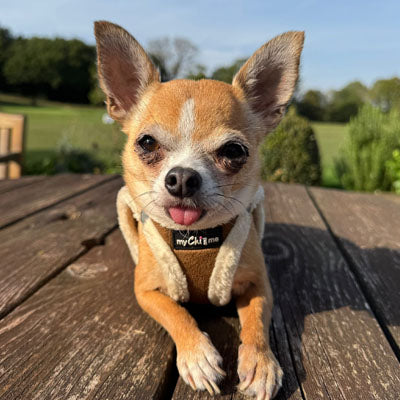 Tiny Trails Step In Soft Touch Suede Effect Faux Fur Lined Puppy and Small Dog Harness Mocha