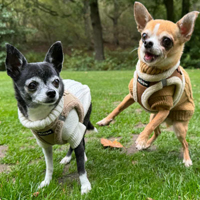 Tiny Trails Step In Soft Touch Suede Effect Faux Fur Lined Puppy and Small Dog Harness Caramel