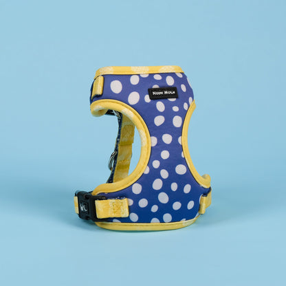 The Minnie Mesh Harness