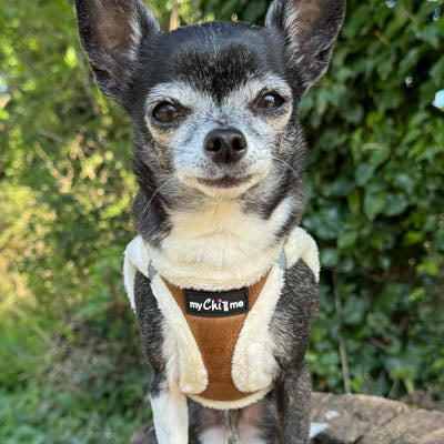 Tiny Trails Step In Soft Touch Suede Effect Faux Fur Lined Puppy and Small Dog Harness Mocha