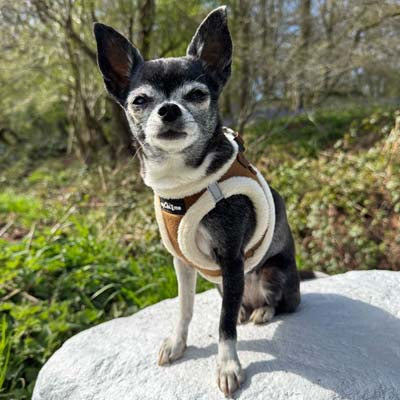 Tiny Trails Step In Soft Touch Suede Effect Faux Fur Lined Puppy and Small Dog Harness Mocha