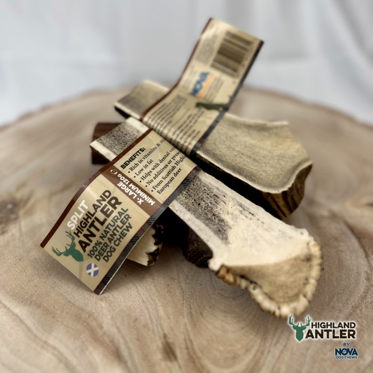 Highland Antler Split Dog Chew – 100% Natural Deer Antler