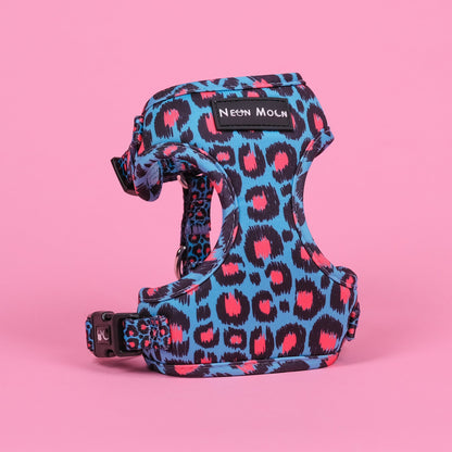 The Willow Mesh Harness