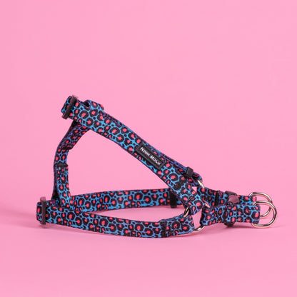 The Willow Step-In Harness