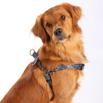 The Willow Step-In Harness