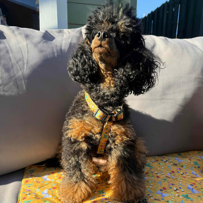 Summer Buzzin’ puppy, chihuahua, kitten, rabbit, teacup XXXS strap harness