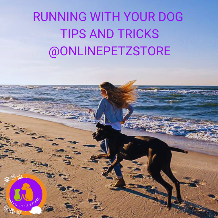 running with a dog on a beach