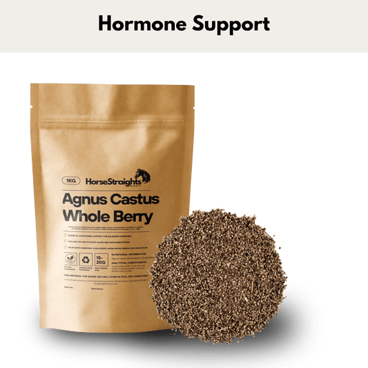 Agnus Castus - Chaste Tree - Whole Berry - Pet Supplier Store