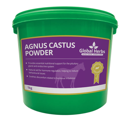 Agnus Castus Powder - Global Herbs - Pet Supplier Store