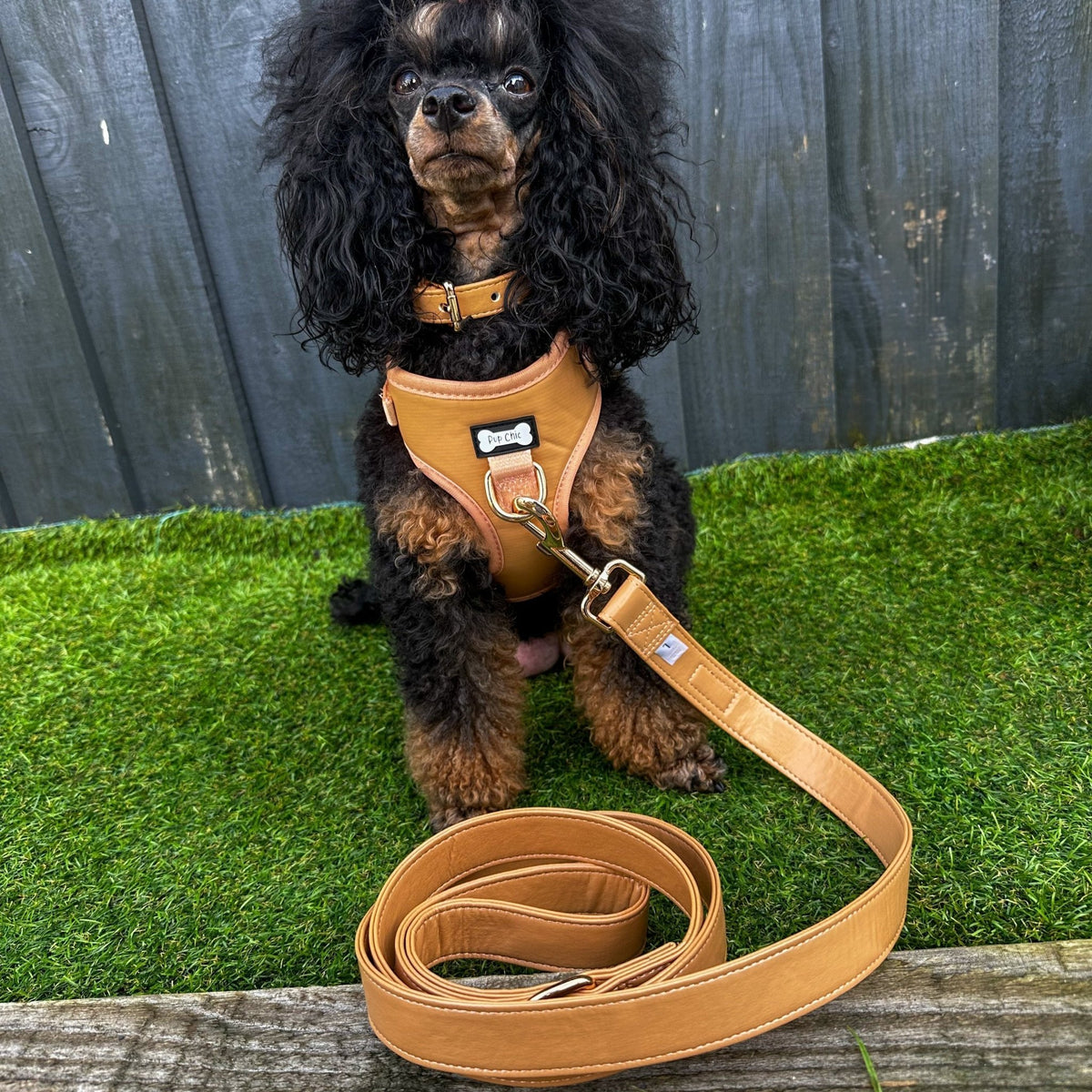 Alfresco Pup vegan leather 5ft dog lead - Pet Supplier Store