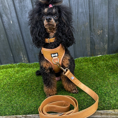 Alfresco Pup vegan leather dog collar - camel colour buckle dog collar - Pet Supplier Store