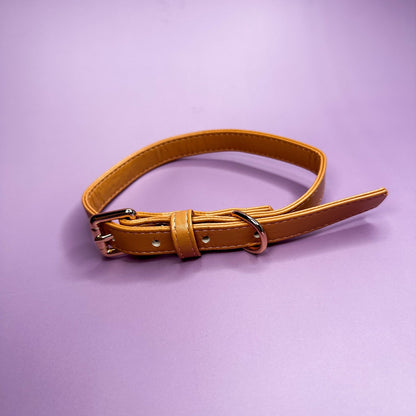 Alfresco Pup vegan leather dog collar - camel colour buckle dog collar - Pet Supplier Store