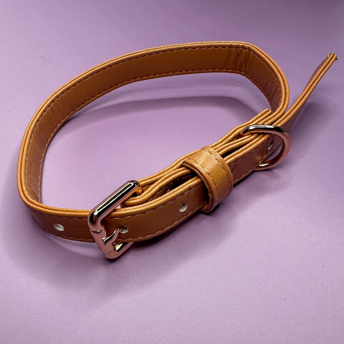 Alfresco Pup vegan leather dog collar - camel colour buckle dog collar - Pet Supplier Store