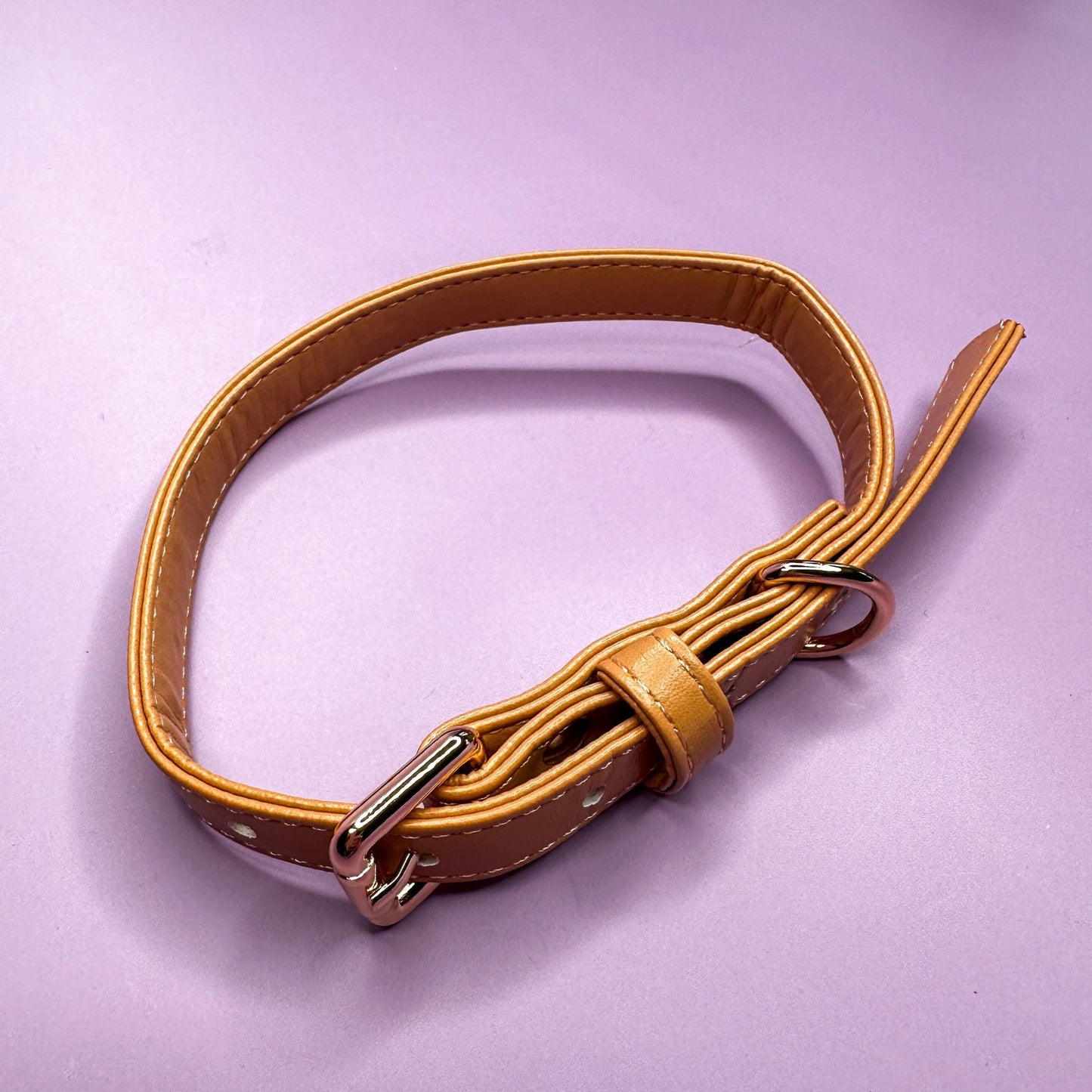 Alfresco Pup vegan leather dog collar - camel colour buckle dog collar - Pet Supplier Store