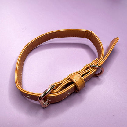 Alfresco Pup vegan leather dog collar - camel colour buckle dog collar - Pet Supplier Store