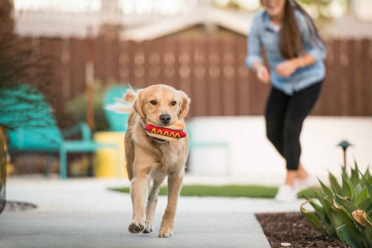 American Classic Hot Dog Enrichment Toy - Pet Supplier Store