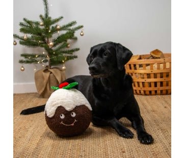Ancol Christmas - Colin Christmas Pud - Pet Supplier Store
