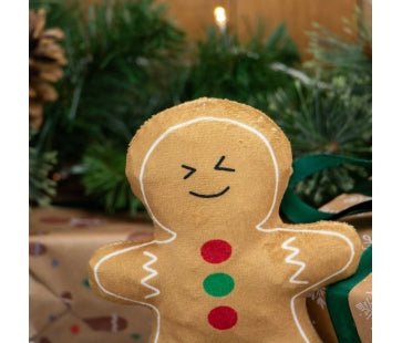 Ancol Christmas - Georgia Gingerbread - Pet Supplier Store