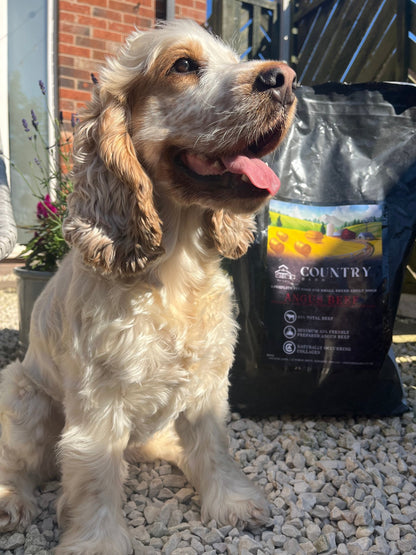 Angus Beef - Pet Supplier Store