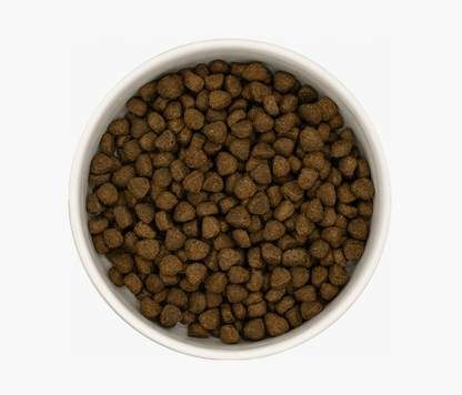Angus Beef - Pet Supplier Store