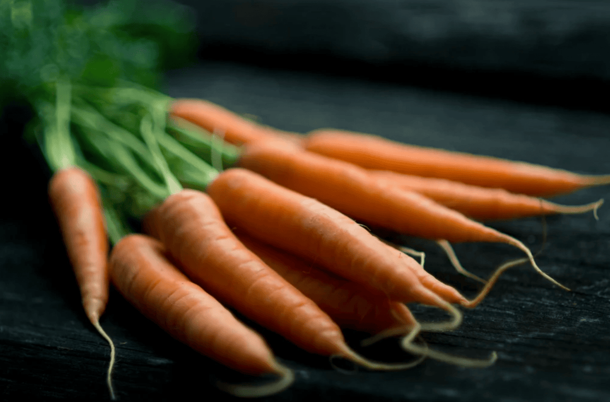 Angus Beef & Carrot - Pet Supplier Store