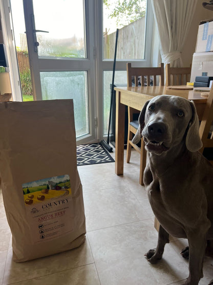 Angus Beef & Carrot - Pet Supplier Store
