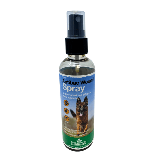 Antibacterial wound spray 75ml - Global Herbs - Canine - Pet Supplier Store