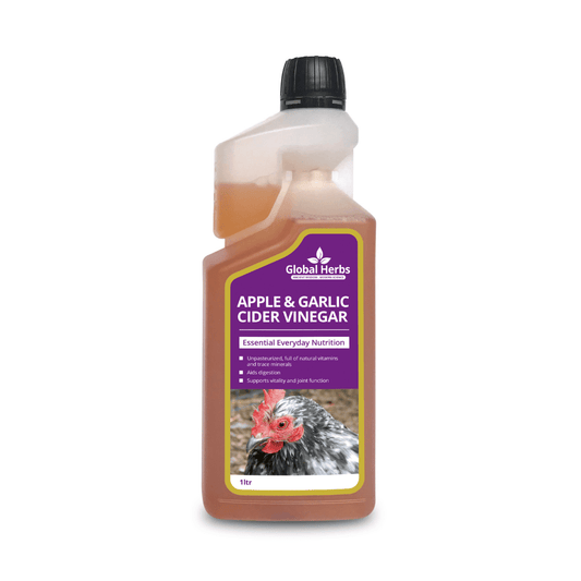 Apple Garlic Cider Vinegar - For Chickens - Pet Supplier Store