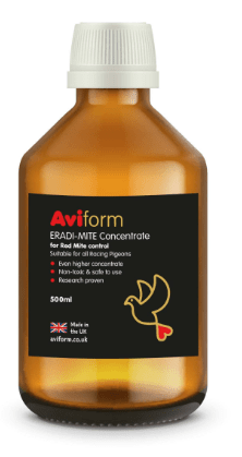 Aviform ERADI-MITE Red Mite Liquid for Racing Pigeons - Pet Supplier Store