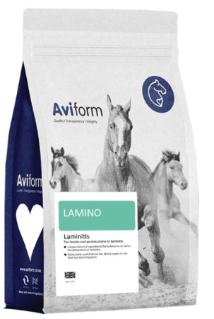 Aviform LAMINO for Horses - Pet Supplier Store