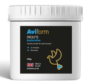 Aviform PROLYTE Probiotic Post Race Restorative Supplement for Racing Pigeons - Pet Supplier Store