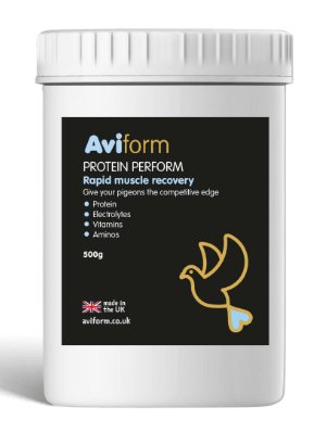 Aviform PROTEIN PERFORM Protein for Racing Pigeons - Pet Supplier Store
