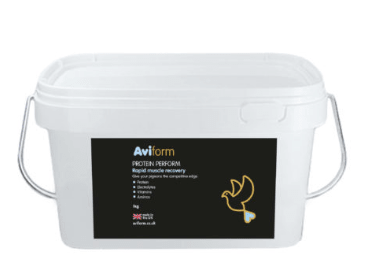 Aviform PROTEIN PERFORM Protein for Racing Pigeons - Pet Supplier Store
