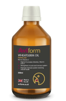 Aviform WHEATGERM OIL Vitamin E Supplement For Cage & Aviary Birds 250ml - Pet Supplier Store