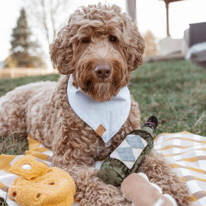 Merlot enrichment dog toy