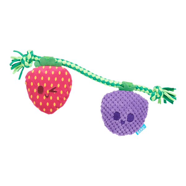 Bark Best Berry Friends Dog Toy - Pet Supplier Store