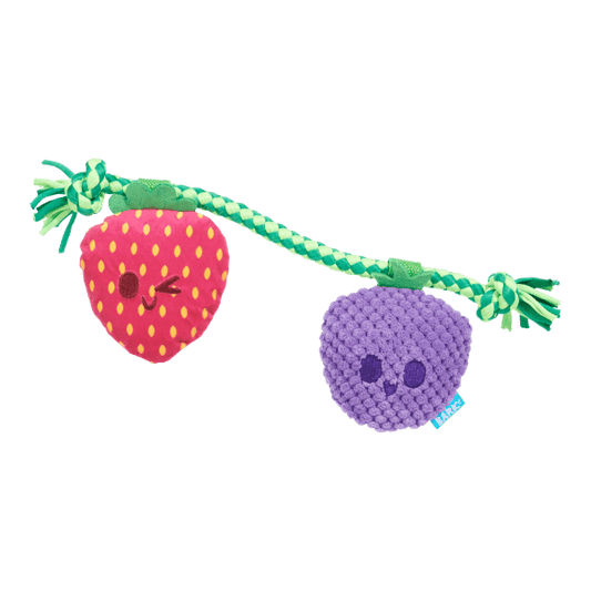 Bark Best Berry Friends Dog Toy - Pet Supplier Store