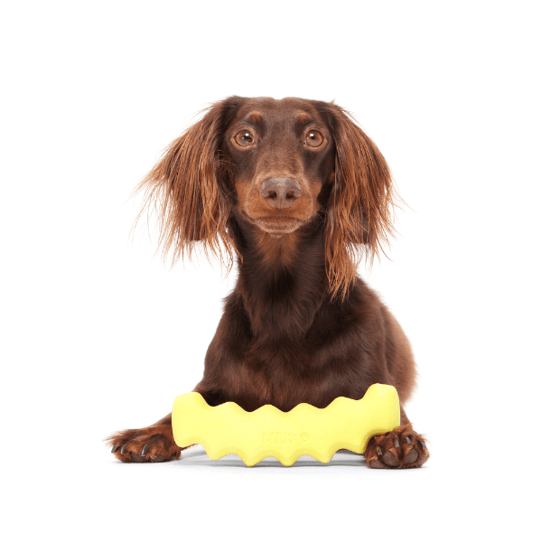 Bark Crinkle Fry Dog Toy - Pet Supplier Store