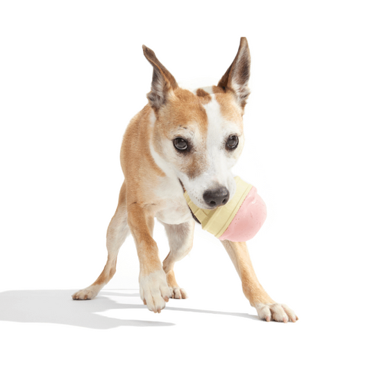 Bark I-Squeak Cone Dog Toy