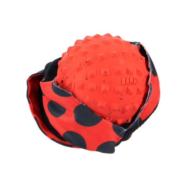 Bark Lady Bugsy Dog Toy - Pet Supplier Store