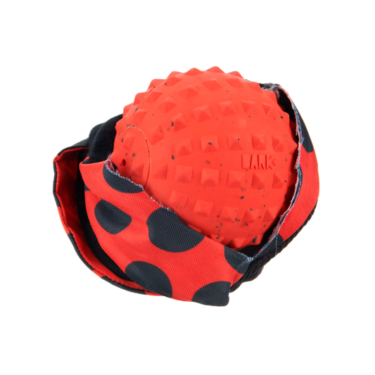 Bark Lady Bugsy Dog Toy